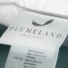 Plumeland The Plumeland Countess FIRM Pillow