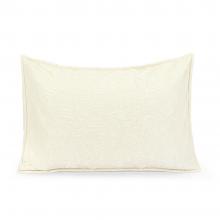 Joshua's Dream Floral Ivory Pillow Sham
